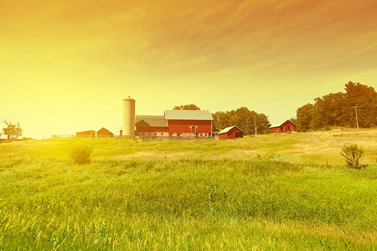 farmhouse North Iowa Home Inspection Services